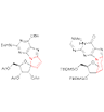 Nucleosides