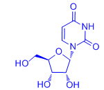 1-(α-D-ribofuranosyl)uracil